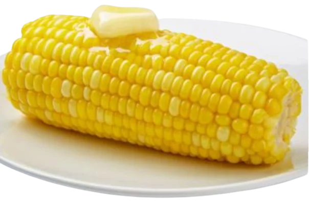 Corn on the cob